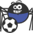 everton_spider